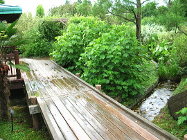 草津市立水生植物公園みずの森